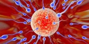 Cara Memiliki Sperma Lebih Sehat dan Lebih Banyak
